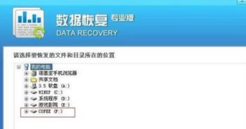 一、视频号视频删除后的恢复可能性
