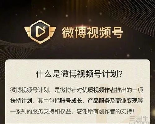 微信视频号的崛起