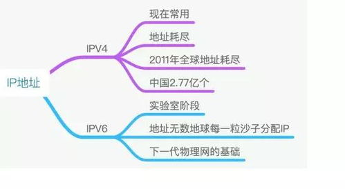 IP传奇发布网,数字内容创新平台-全面解析与行业洞察