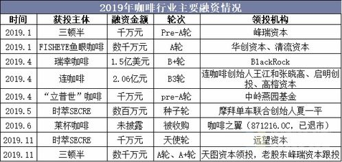 新开轻变传奇概述与市场现状