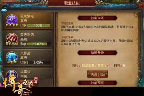 传奇私服手游发布网的重要性与现状