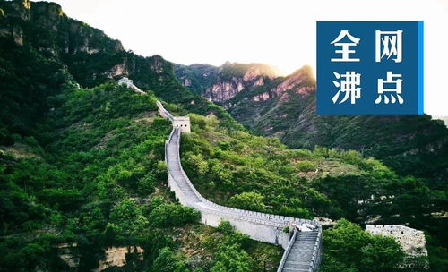 天坑公司一：广州天坑科技有限公司网络公关公司
广州天坑科技有限公司是一家专注于科技创新的企业，致力于为客户提供前沿的技术解决方案。公司凭借其强大的研发团队和先进的技术实力，在行业内取得了显著的成就。天坑科技不仅注重技术创新，还非常重视人才培养和团队建设，为公司的长远发展奠定了坚实的基础。

天坑公司二：广州天坑文化创意有限公司