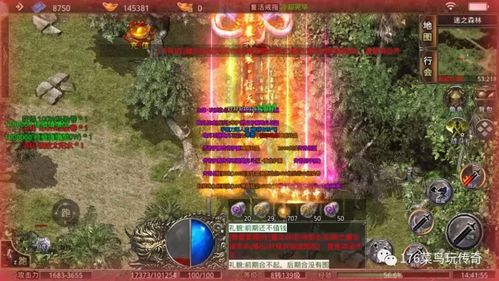 攻速超快的单职业传奇,极致战斗体验解析