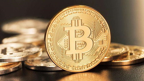 官方正版下载渠道解析