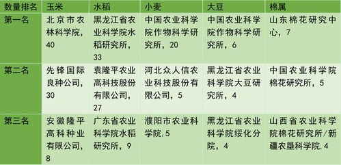 缘分姓名配对打分：揭秘姓名背后的爱情密码！