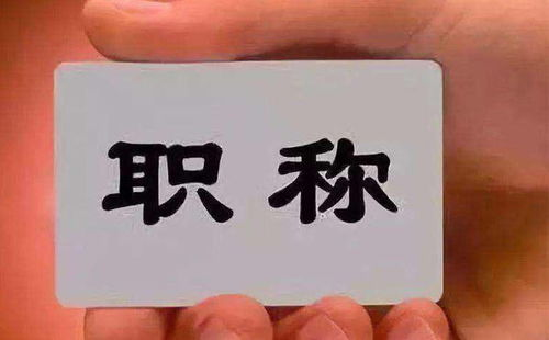 姓名缘分测试：911查询的神秘面纱