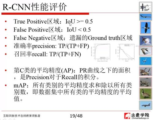 情侣缘分测试：探索爱情中的神秘联系！