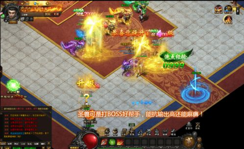 新开传奇私服网的市场需求分析