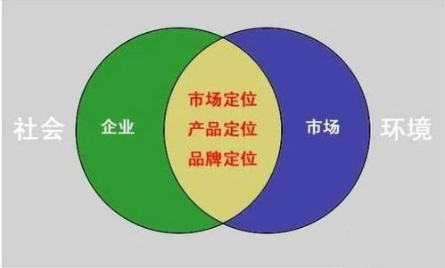 新开传奇sf最大网站的市场定位与特点
