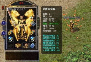 传奇新开私服的魅力与特点