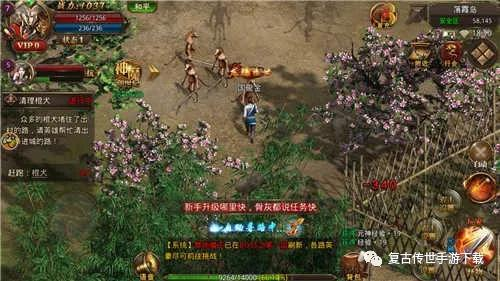 新开手游传奇私服,从零开始的完整运营指南