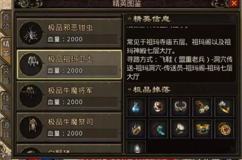 传奇私服手游打金,高效获取游戏金币的全面指南
