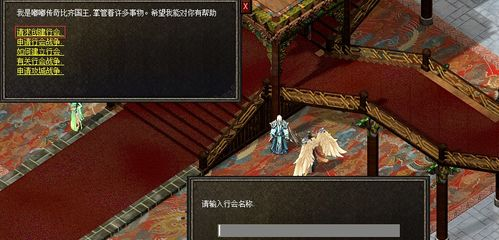 新开传奇sf最大网站,全方位解析与选择指南