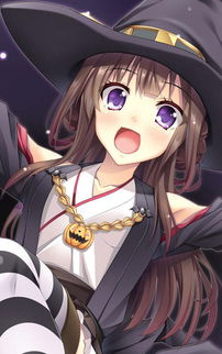 二次元下载手机版的选择标准