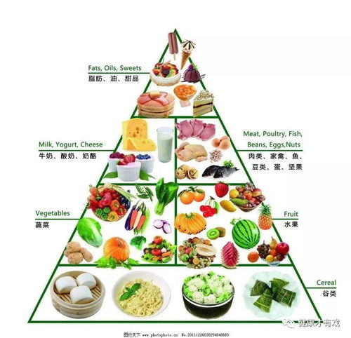 三、食谱中的营养均衡