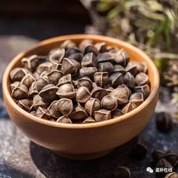 一、辣木籽的营养成分与减肥原理