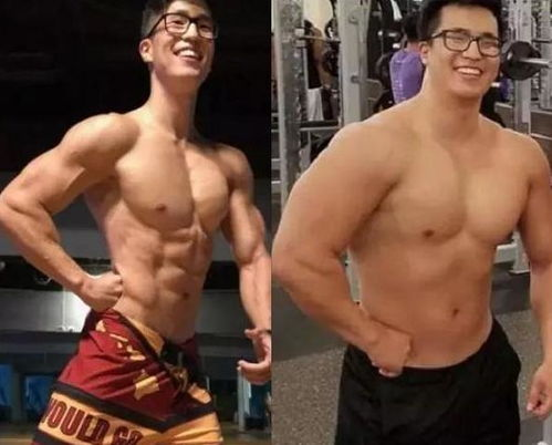 三、力量训练：塑造肌肉，提高基础代谢率