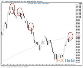 二、反弹现象的原因分析