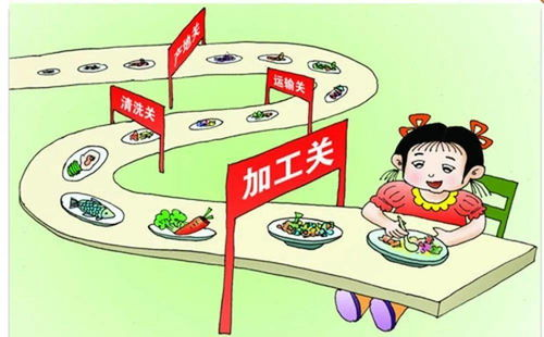 三、配合健康饮食