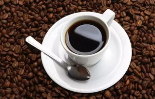 二、如何选择燃脂瘦身减肥咖啡