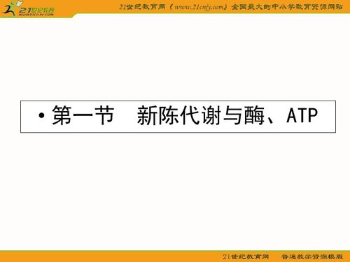 三、接吻与新陈代谢