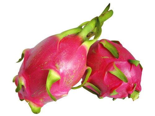 一、火龙果的减肥原理