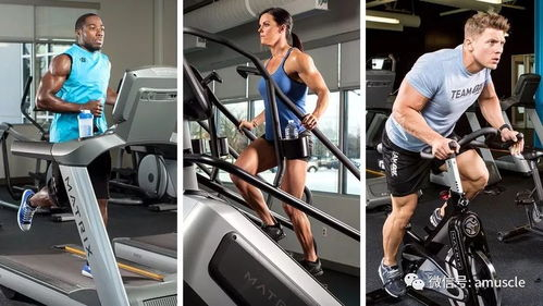 三、有氧运动与力量训练的结合