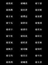 探索经典QQ网名的魅力与时代意义