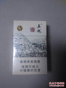 传奇sf发布站哪个好玩，探索私服世界的精彩选择