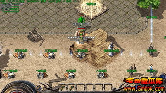 最新传奇私服开区信息发布平台，及时获取游戏更新与活动资讯