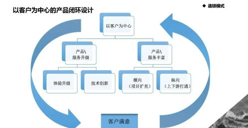 卡盟的运作模式与盈利机制