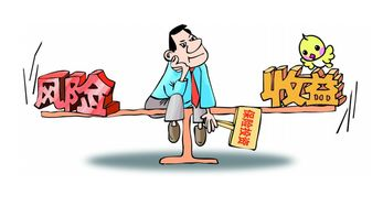 投资与风险并存:高价回收背后的“泡沫”与“理性”