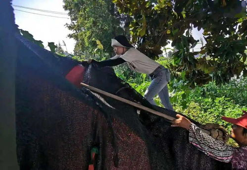 新手必看:EPP码办理的3大误区