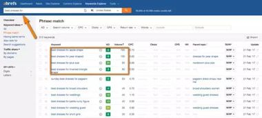 删余域名:24小时“窗口期”的流量争夺战,实时监控是关键