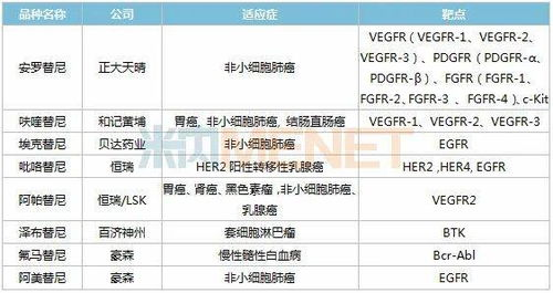 三、2025年EPP码使用新趋势与风险提示:这些坑必须避开
