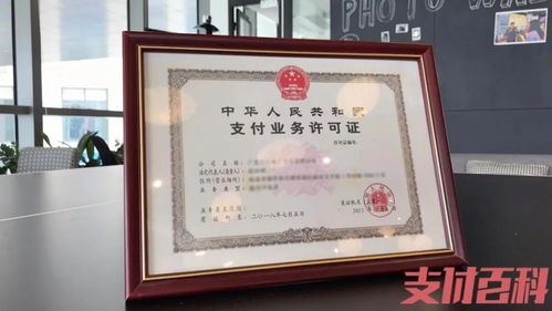 资质齐全是底线:专业域名回收机构必须具备哪些“硬通货”?