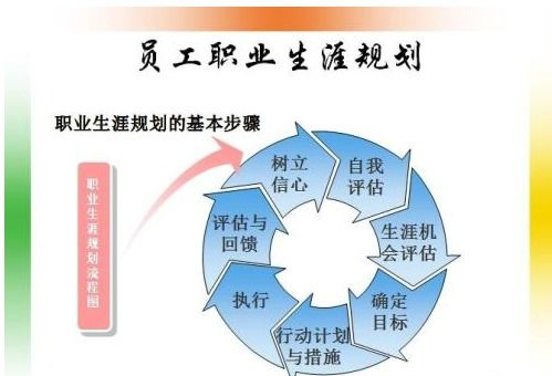 搬砖吧的生态演变:从单纯攻略到职业规划