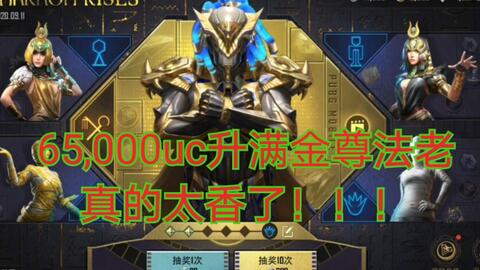 PUBG Mobile辅助卡盟的运作模式与类型