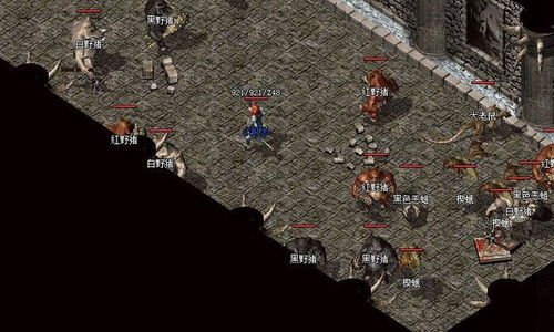 传奇SF开区发布站的演变历程