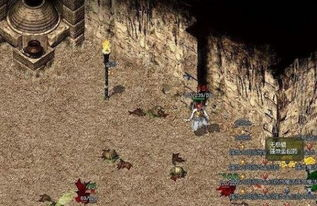 网通传奇私服的起源与发展