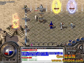 轻变传奇私服,经典与创新平衡的游戏选择-全面解析与指南