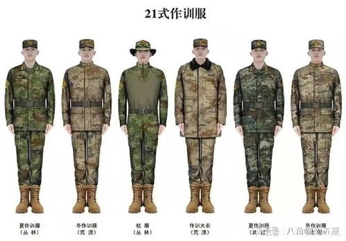 中变传奇私发布网服,独特游戏体验与运营策略解析