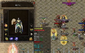 传奇私服手游练级脚本,高效提升角色等级的实用指南