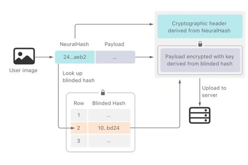 跨境e88用户指南，打造高效跨境支付解决方案手册