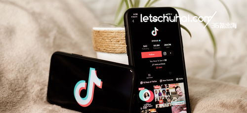 了解TikTok电商