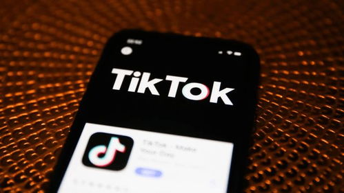 TikTok店铺绑定达人二维码：提升品牌影响力的新策略！
