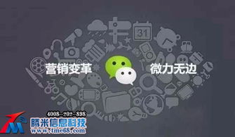 卡盟一手货源网站的运作模式与风险