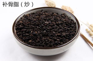 二、中药补肾壮阳的选择