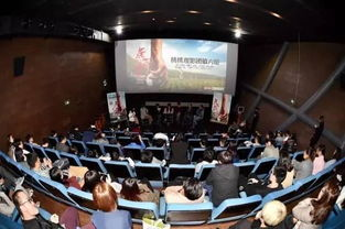 五、如何确保观影体验