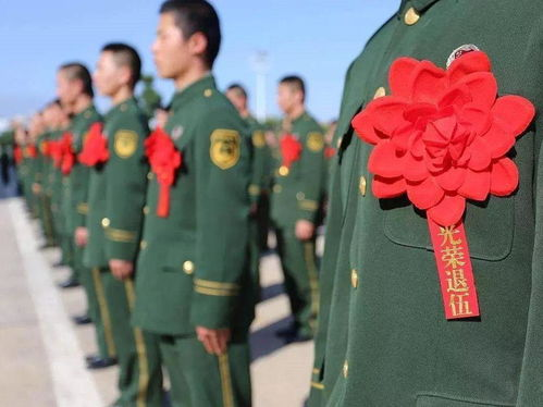 五、免费播放电视剧的未来趋势